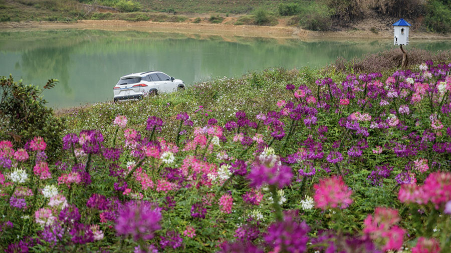 Cùng Corolla Cross Hybrid Vượt Hơn 130 Km Khám Phá Thảo Nguyên Đồng Lâm